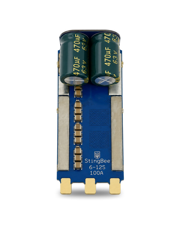 StingBee ESC 12S 100A